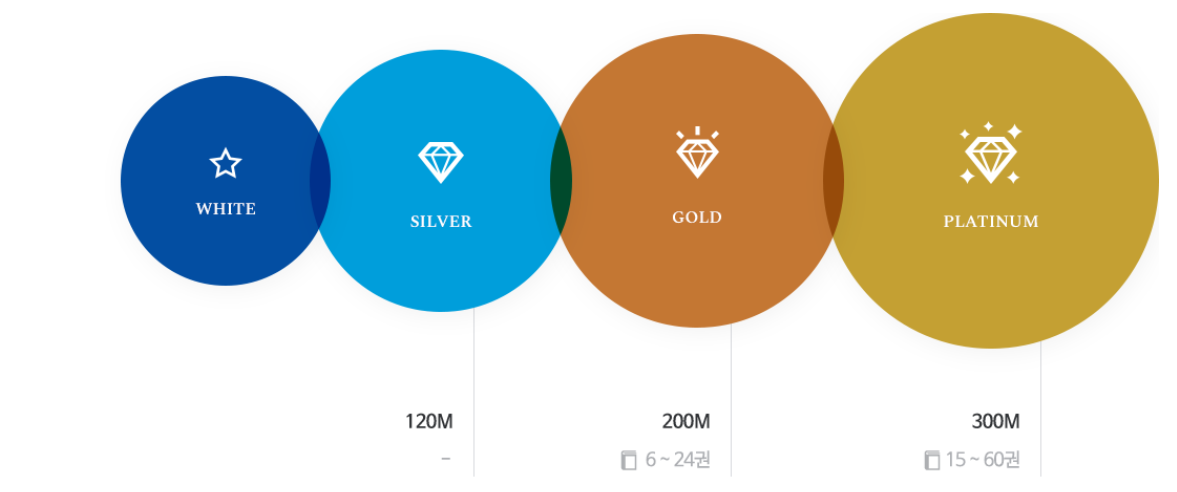 WHITE, SILVER(120M), GOLD(200M-6~24권), PLATINUM(300M-15~60권)